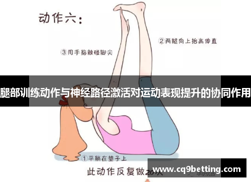 腿部训练动作与神经路径激活对运动表现提升的协同作用